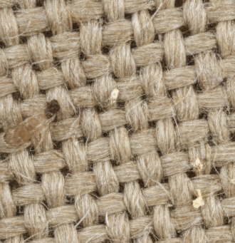 Disinfestazione Acari Milano